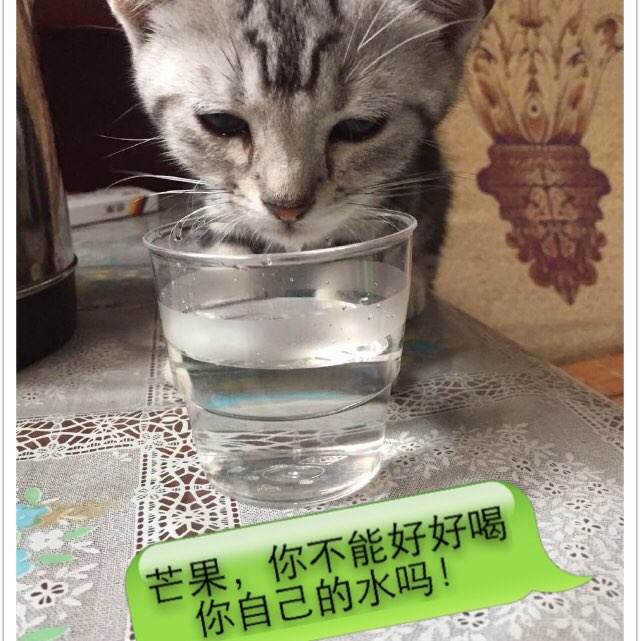 哪里能办理突尼斯签证
